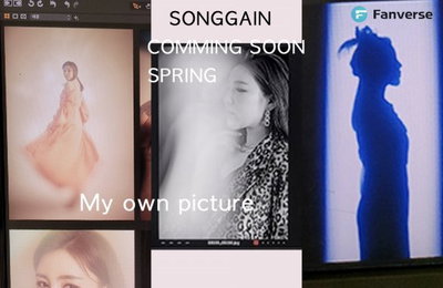 송가인, 컴백과 동시에 콘서트 카운트다운