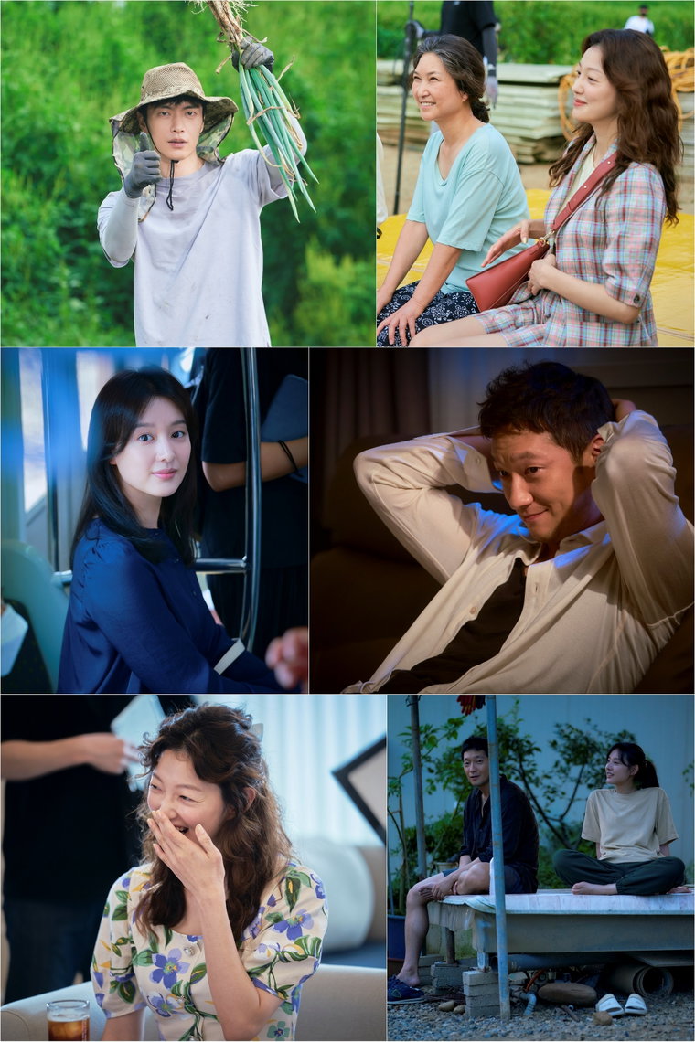 사진=스튜디오피닉스, 초록뱀미디어, JTBC스튜디오