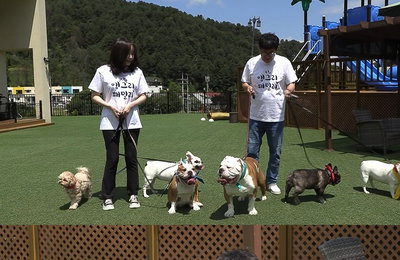 MBC 예능 <호적메이트> 이경규X예림이, 강아지 6마리와 단합대회 “다 우리 호적이다”
