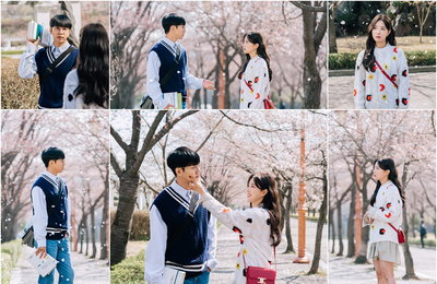 KBS 2TV 새 월화드라마 ‘법대로 사랑하라’ 이승기-이세영, “사귀자고?” vs “사귀자고” 흩날리는 벚꽃 속 핑크빛 분위기! 김정호X김유리 첫 투샷!