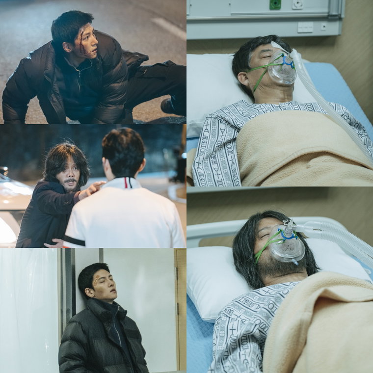 사진 제공: 에이앤이 코리아 라이프타임