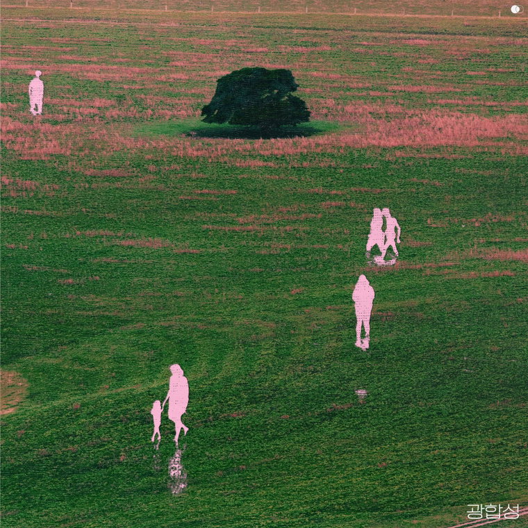 사진 제공 = 딩고