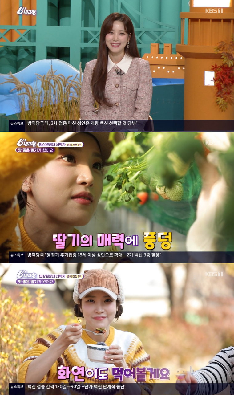 사진 출처 = KBS1 '6시 내고향' 방송 캡처