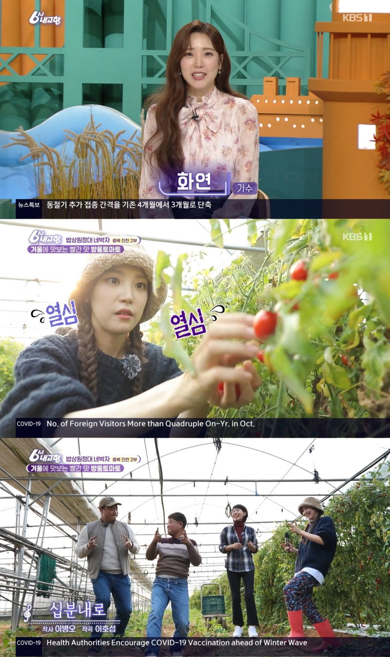 사진 출처 = KBS1 '6시 내고향' 방송 캡처