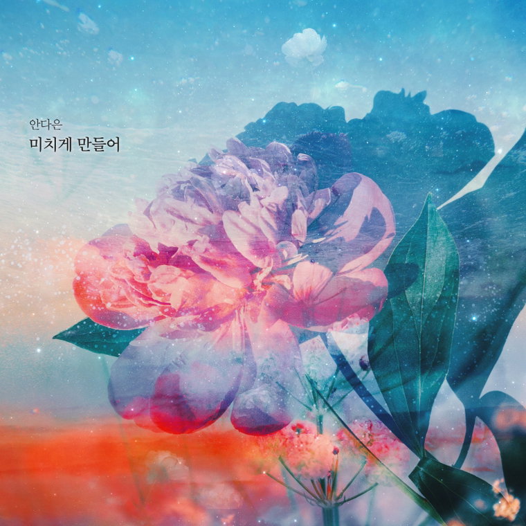 사진 제공 = 딩고