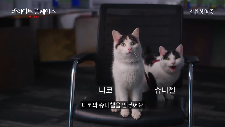 콰이어트플레이스