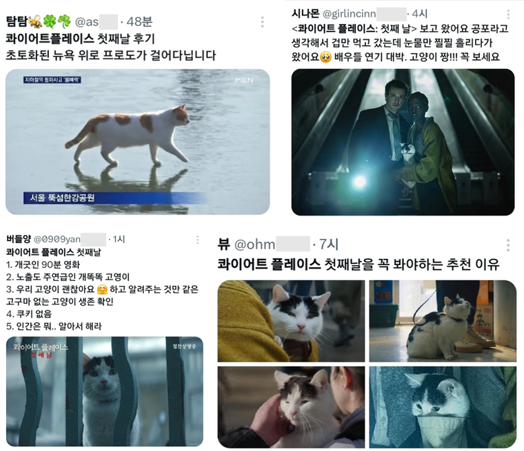 콰이어트플레이스