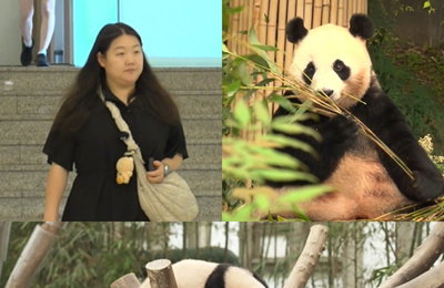 ‘전참시’ 쌍둥이 판다 루이바오X후이바오 매니저 오승희 주키퍼, 판다월드 일상 전격 공개