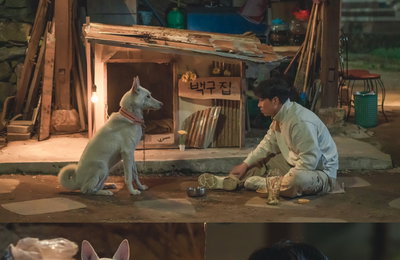 <나는 돈가스가 싫어요> 정상훈, 백구와 환상의 연기 호흡 “색다른 경험”