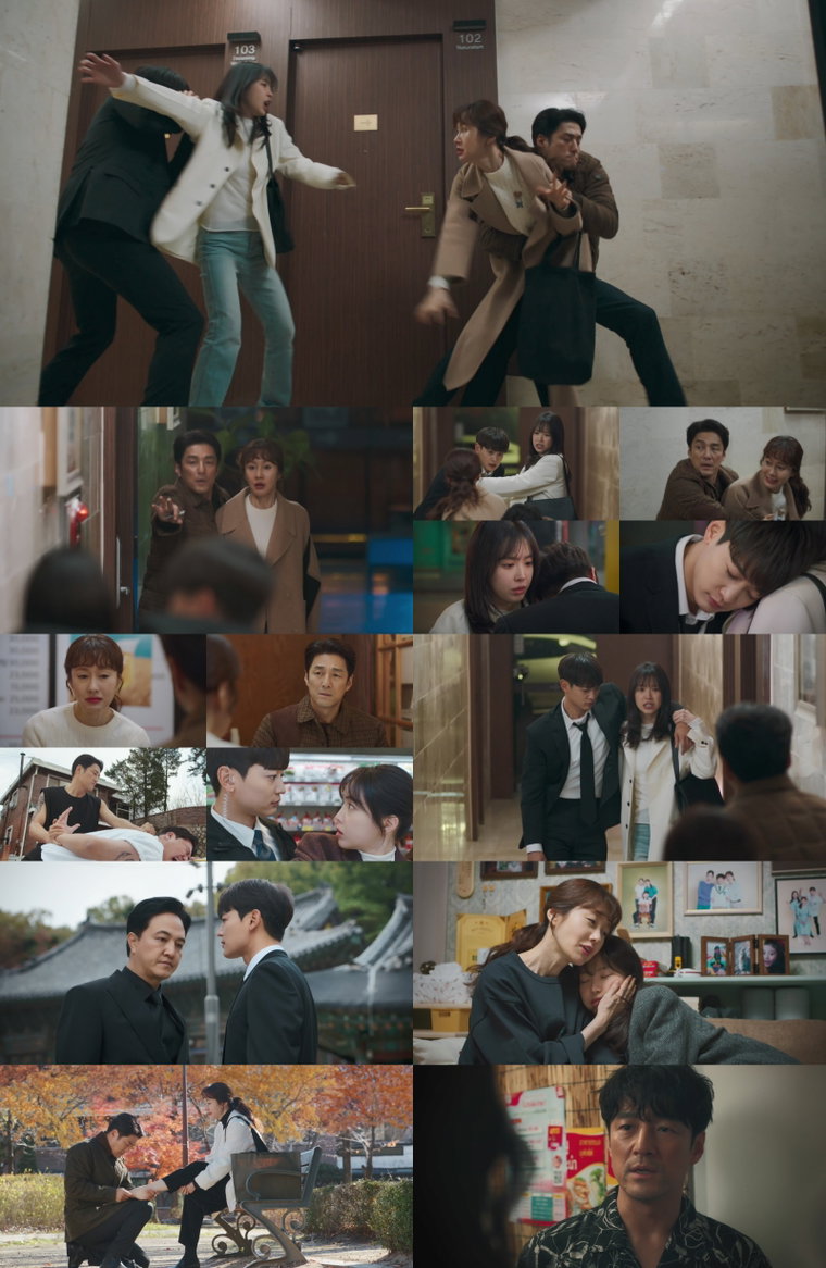 가족X멜로,