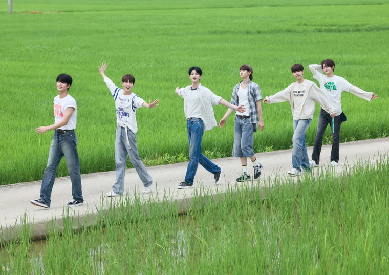 드리핀,