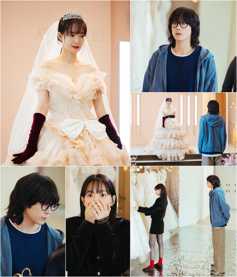 손해보기싫어서,