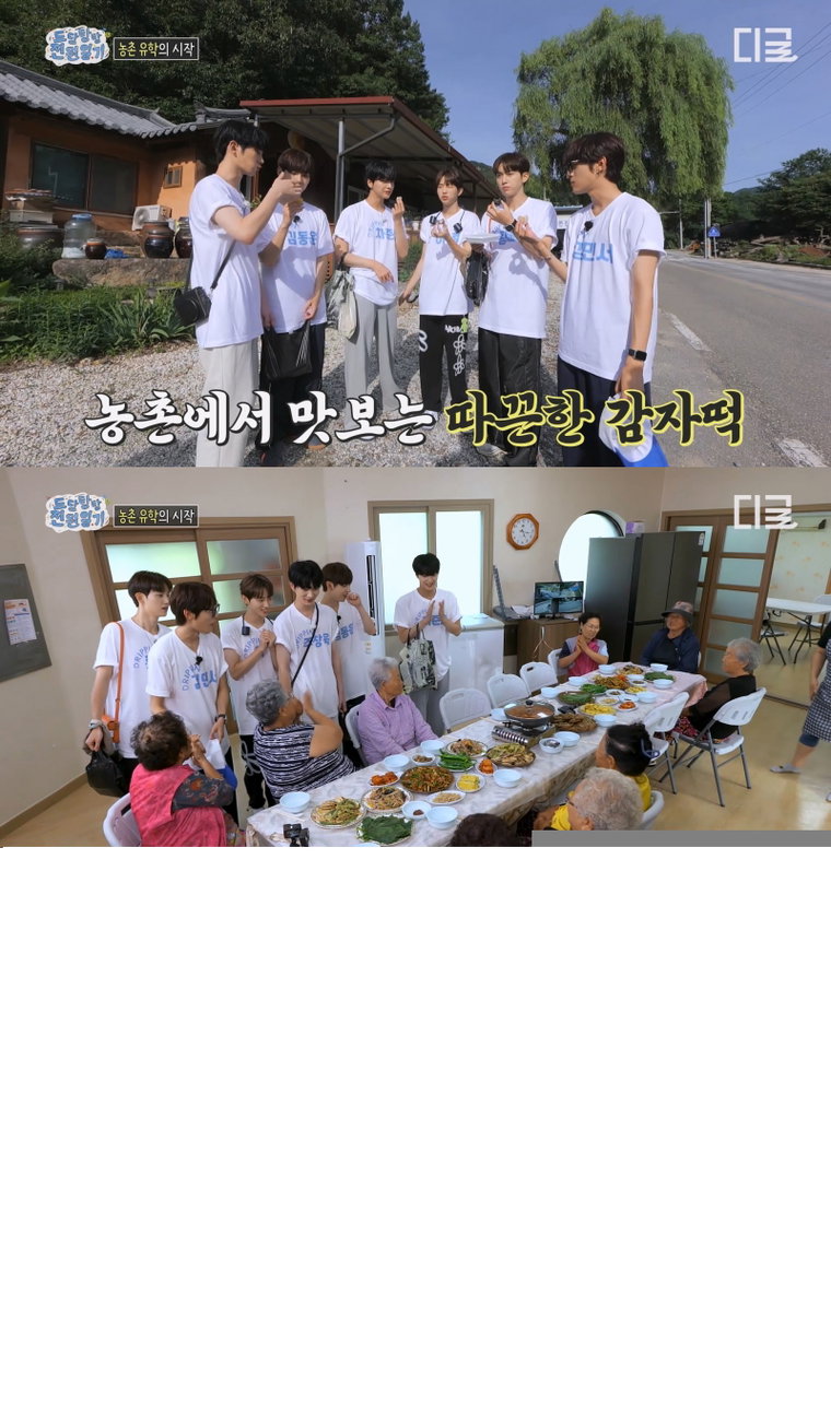 드리핀,