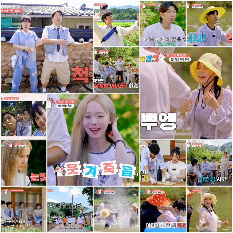 시골에간도시Z,