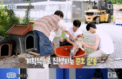 드리핀, '드당탕탕 전원일기'서 농촌 체험 완벽 소화…훈훈한 매력 발산