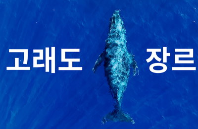 <극장판 고래와 나> 나는 혹등고래, 첫 주자 자기소개