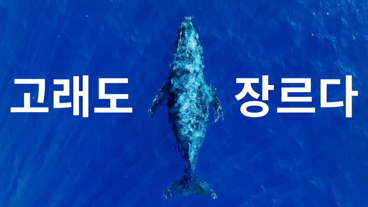 고래와나,