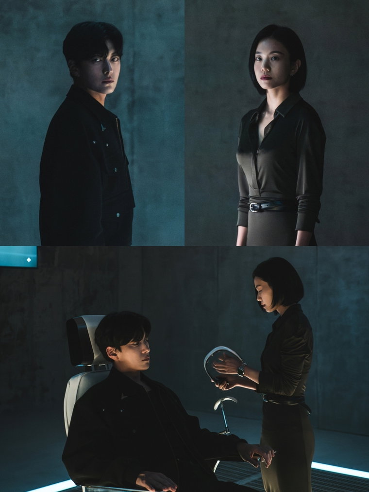 아들이죽었다,