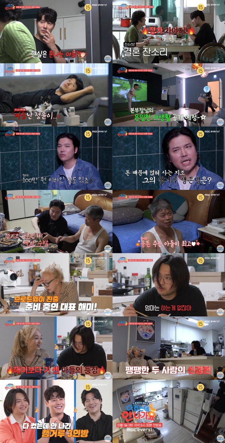 다컸는데안나가요,