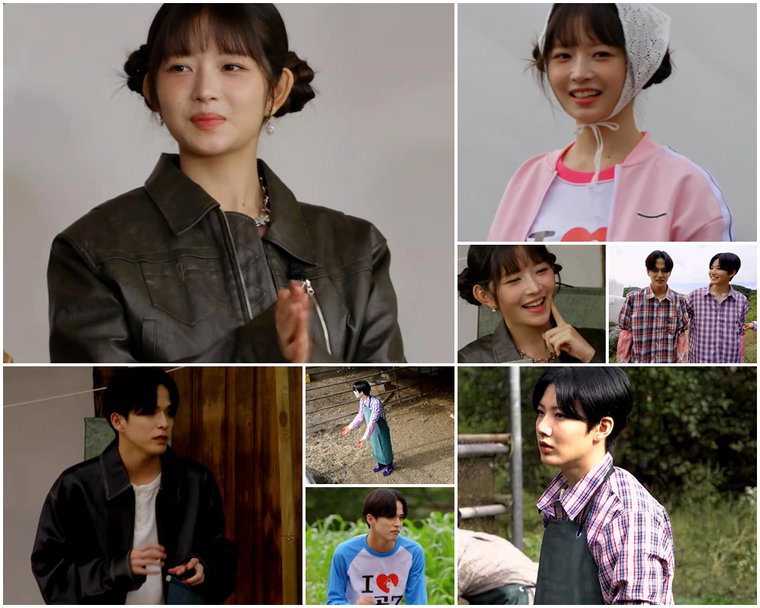시골에간도시Z,