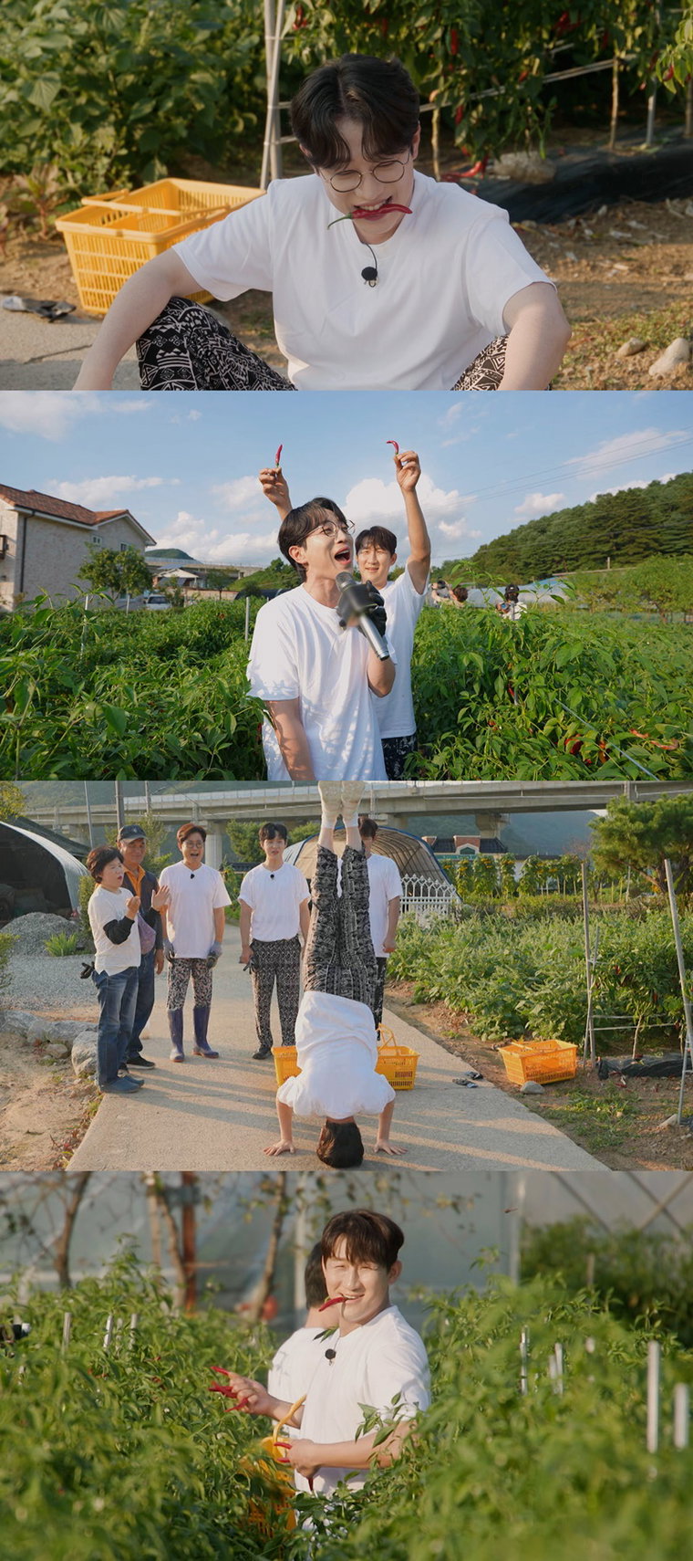 트랄랄라유랑단,