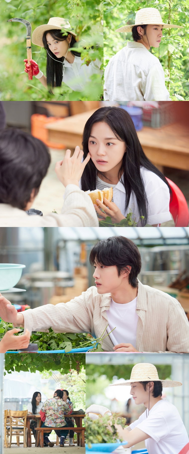취하는로맨스,