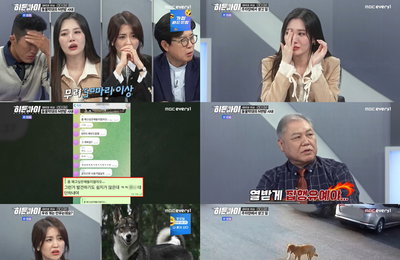 MBC에브리원 '히든아이' 길고양이 50마리 죽이고 단톡방 공유까지 .."방송 표현 불가 학대 많아"