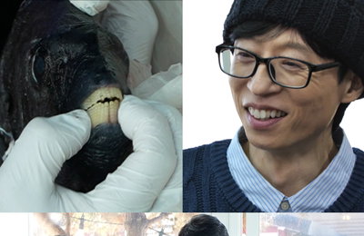 MBC ‘놀면 뭐하니?’ 유재석, 박진주 한마디에 ‘돌돔’ 닮은꼴 등극