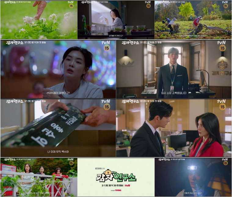 감자연구소,