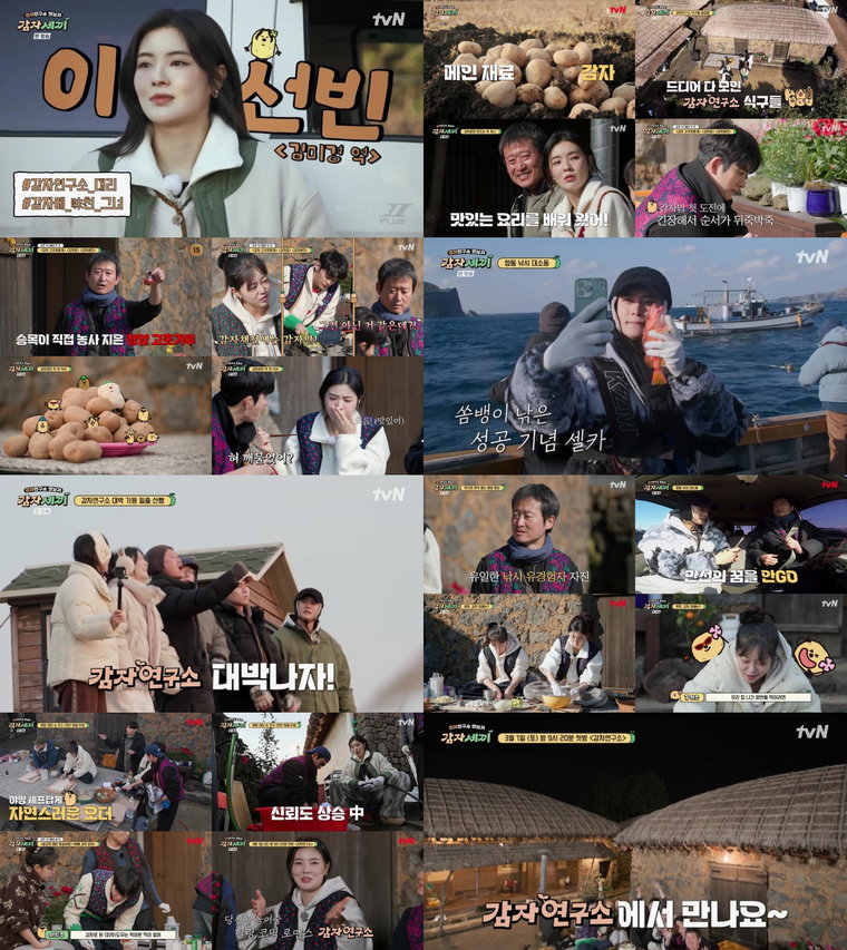 감자세끼,