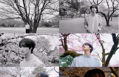 에이티즈(ATEEZ) 성화, 로이킴 '봄이 와도' 커버 영상 공개...생일에 전한 특별한 선물