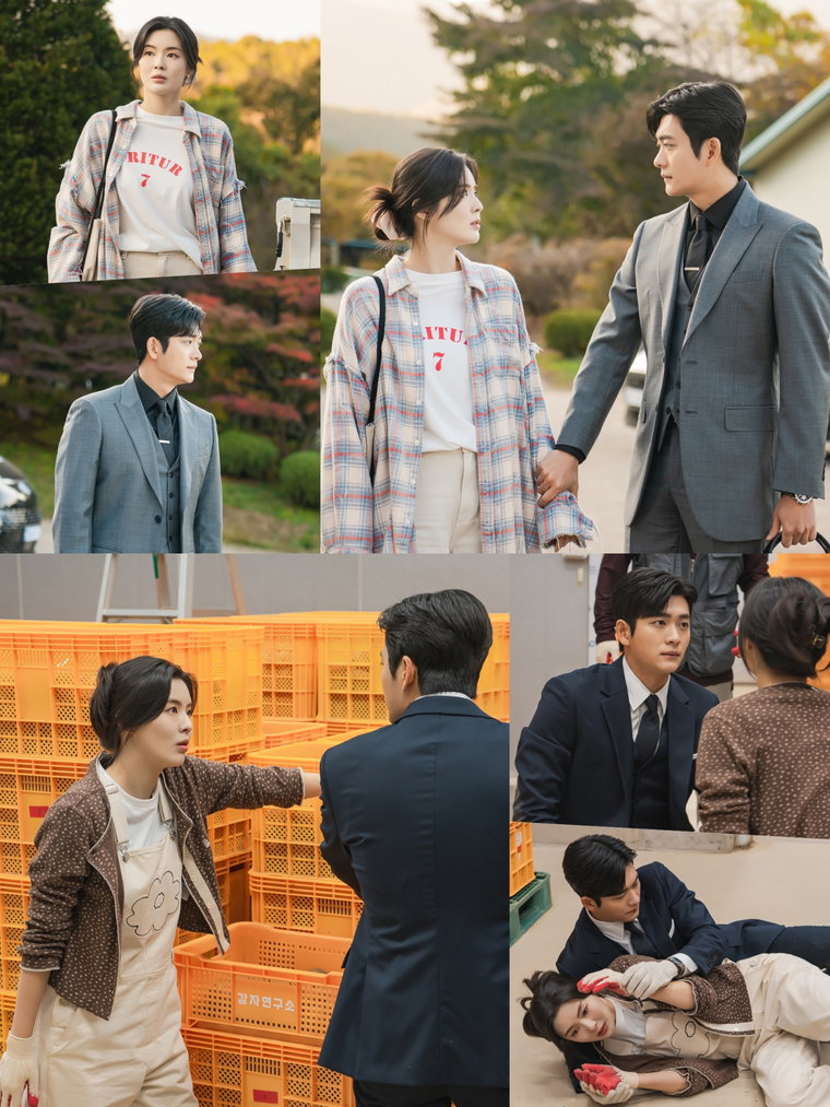 감자연구소