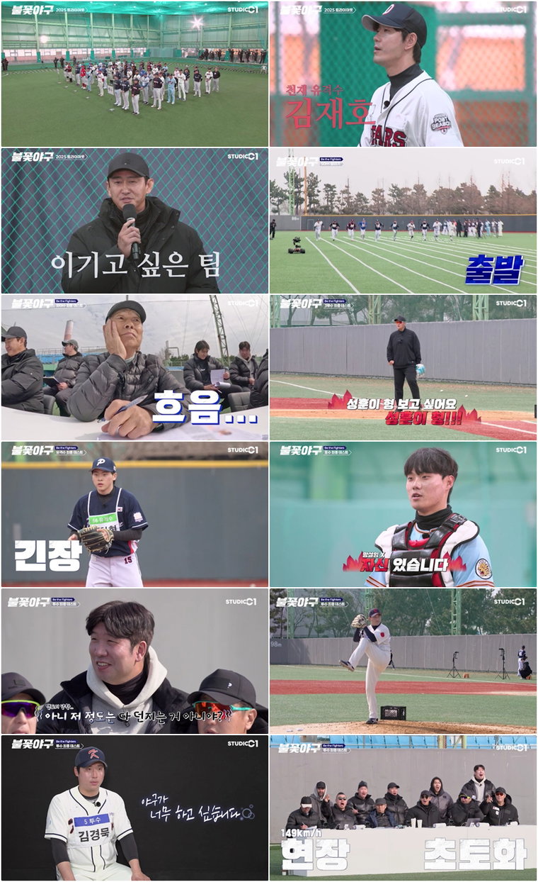 불꽃야구