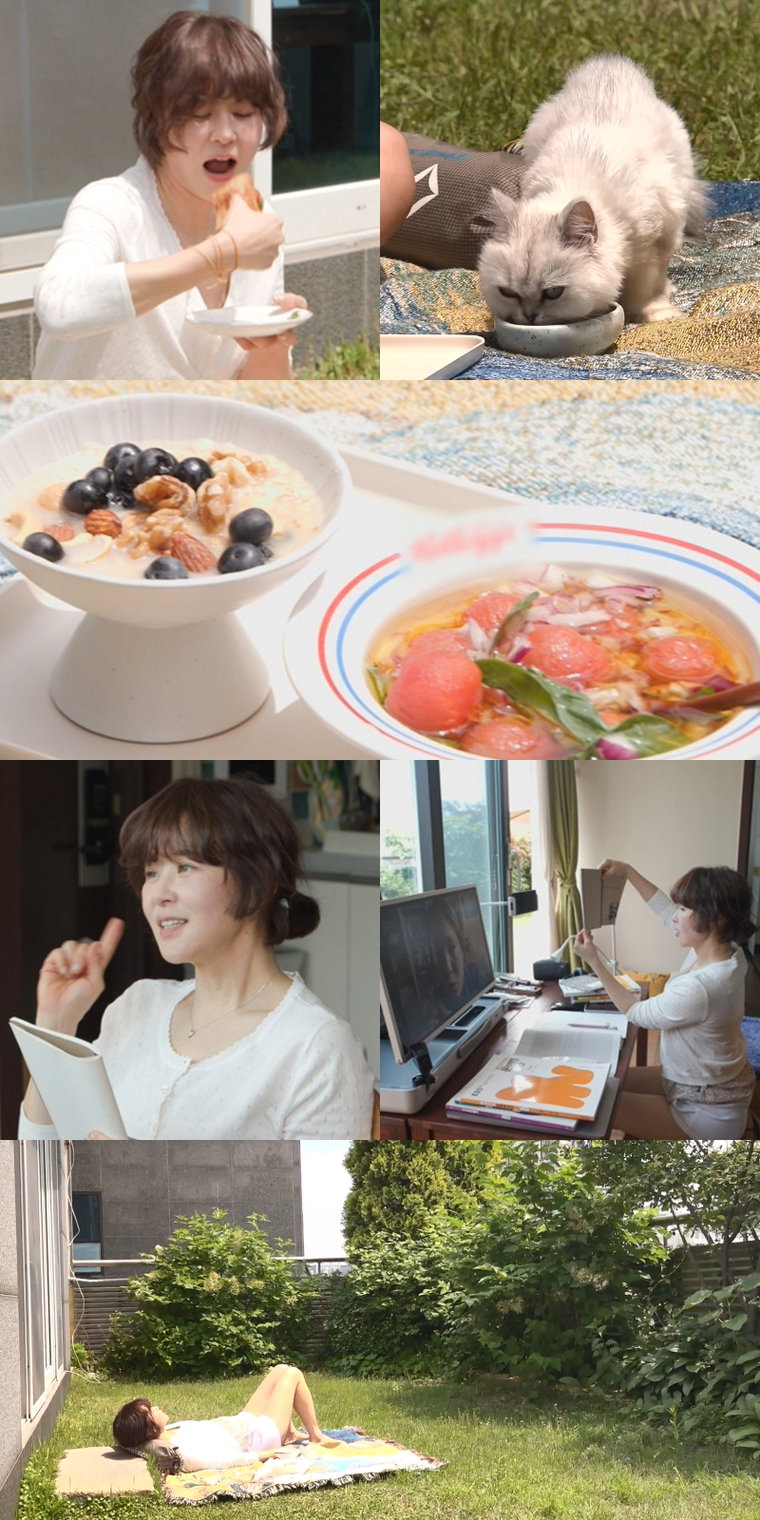 전지적참견시점