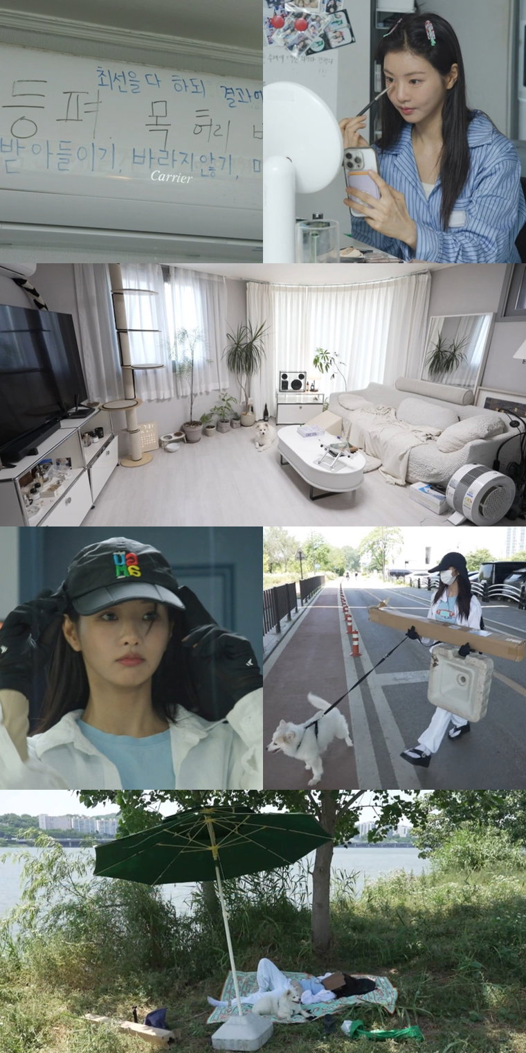 전지적참견시점