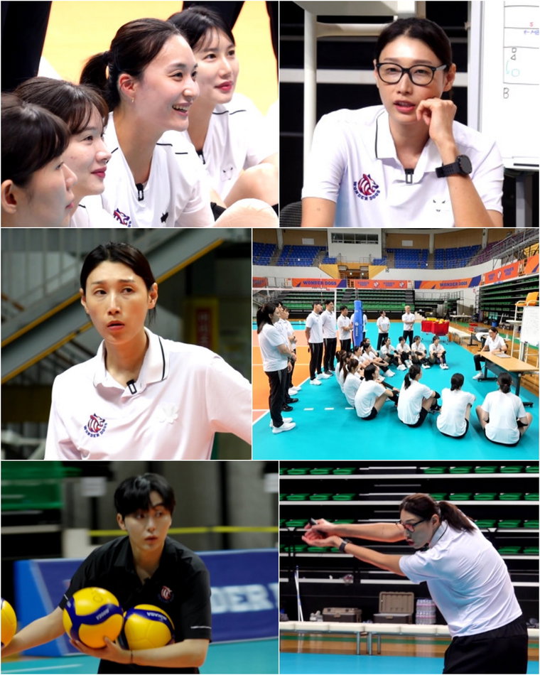신인감독김연경