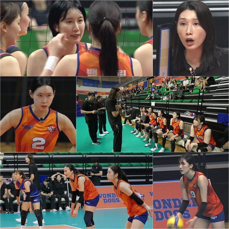 신인감독김연경,