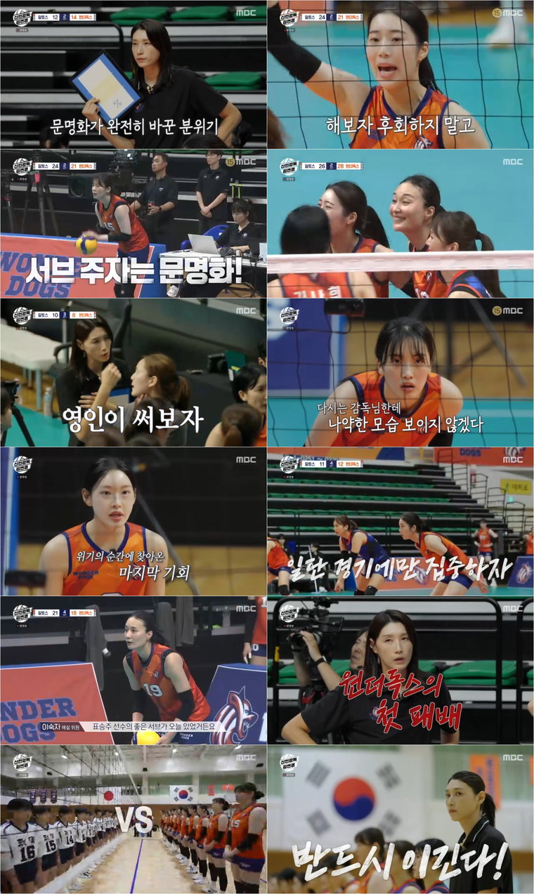 신인감독김연경