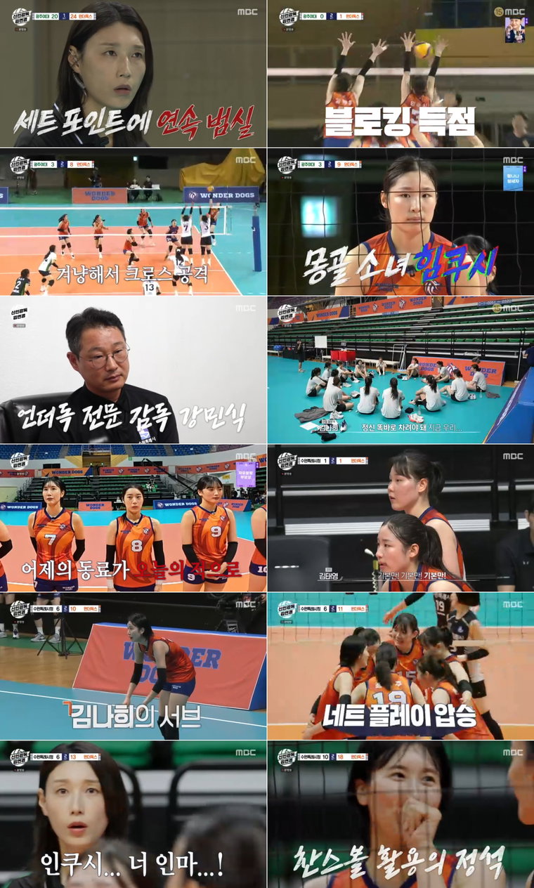 신인감독김연경