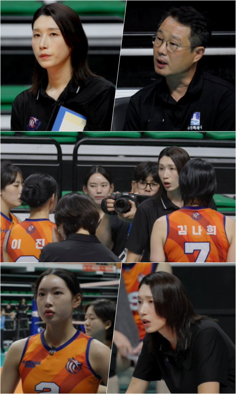 신인감독김연경