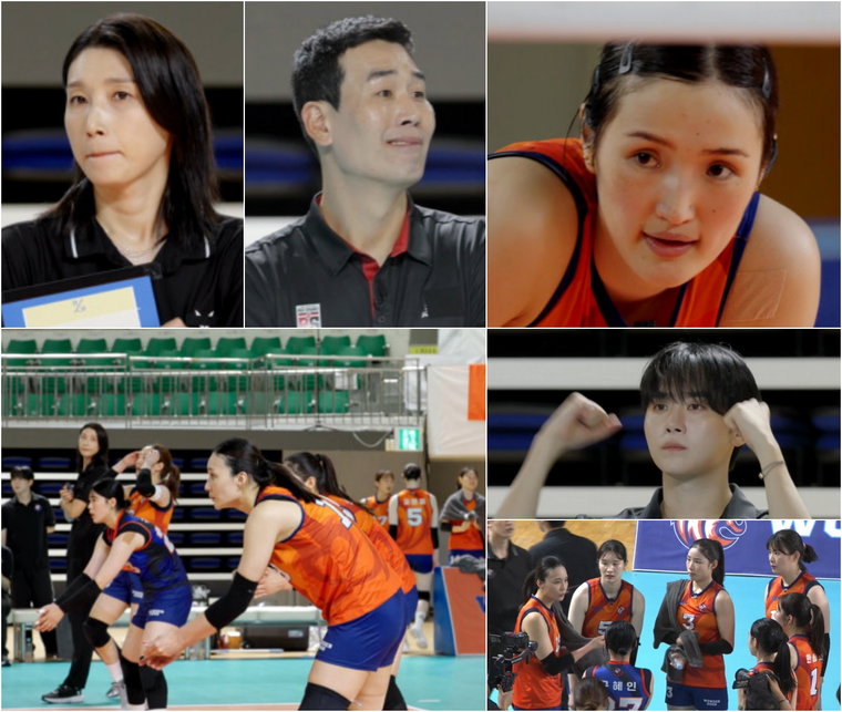 신인감독김연경