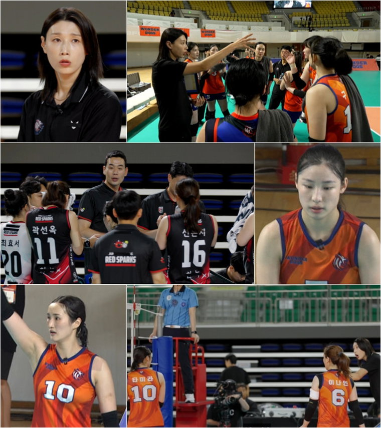 신인감독김연경