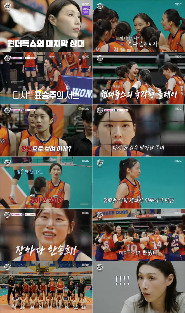 신인감독김연경