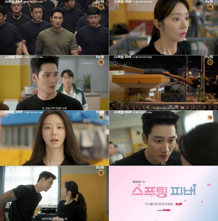스프링피버