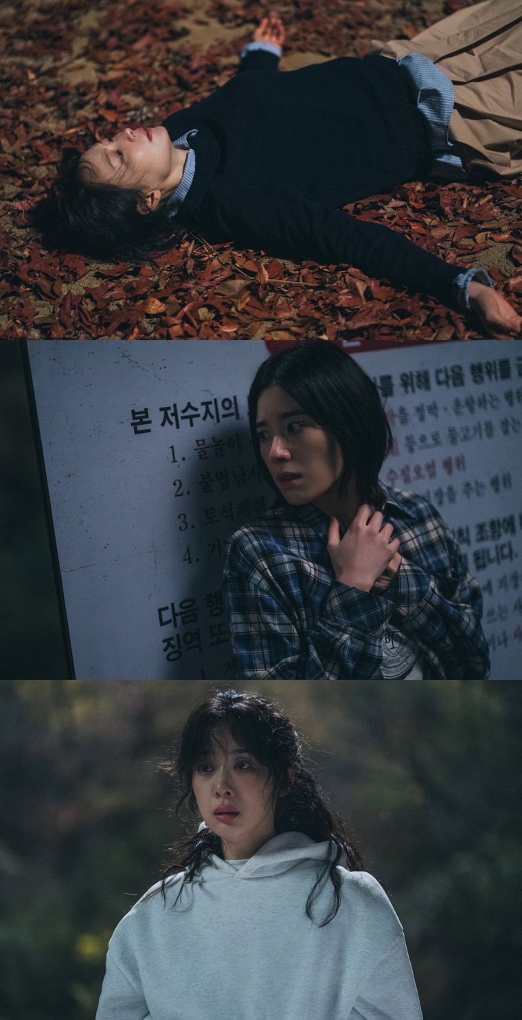 아너:그녀들의법정