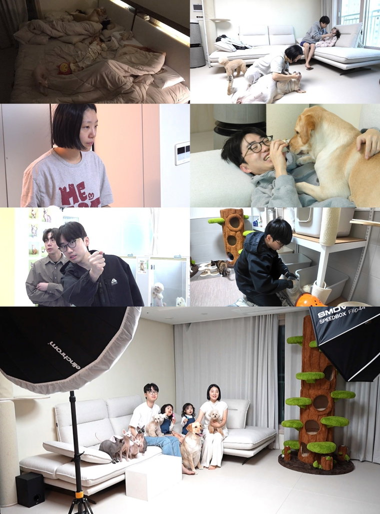 전지적참견시점