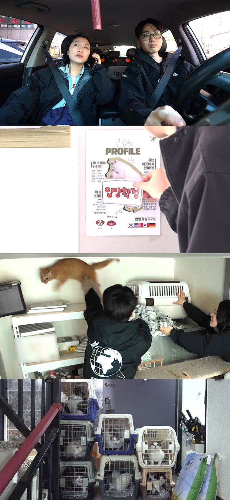 전지적참견시점